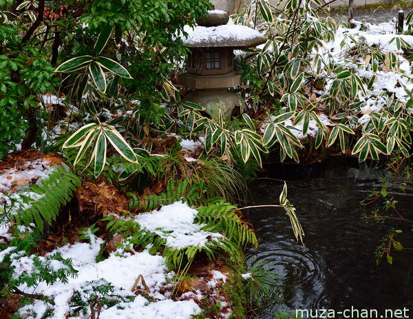 Aoyagi Samurai House, Kakunodate, Akita