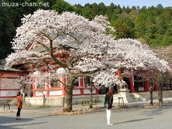 Kurama-dera, Kyoto
