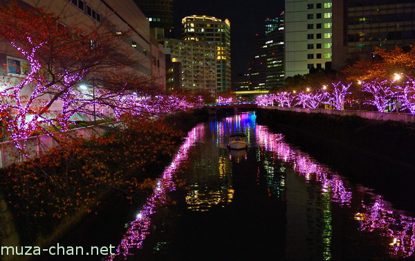 Meguro River, Tokyo