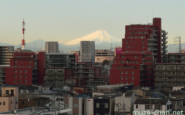 Mount Fuji, Omiya, Saitama Mount Fuji, Omiya, Saitama