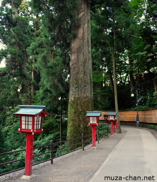 Mount Takao, Tokyo