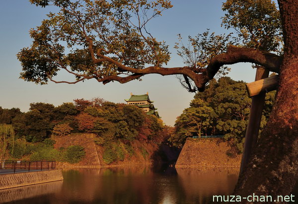 Nagoya Castle, Nagoya