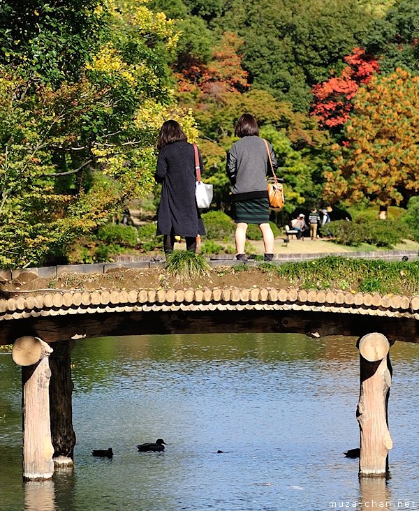 Rikugi-en, Bunkyo, Tokyo