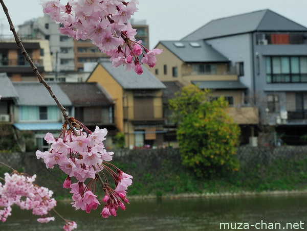 Kamo River, Kyoto Kamo River, Kyoto