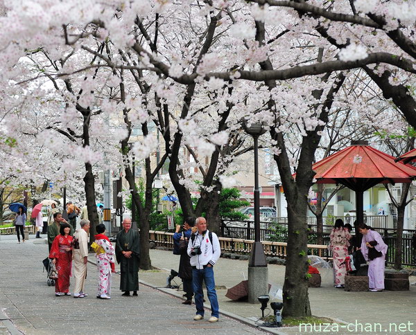 Shirakawa-dori, Gion, Kyoto