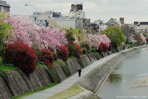 Kamo River, Kyoto