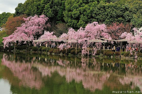 Higashi Shin'en (East Garden), Heian Shrine, Kyoto