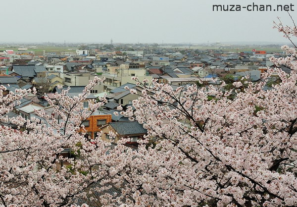 Maruoka Castle, Fukui