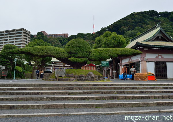 Terukuni Shrine Kagoshima Terukuni Shrine Kagoshima