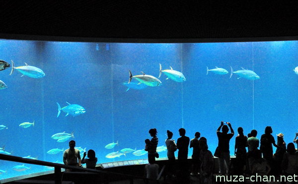 Tokyo Sea Life Park, Edogawa, Tokyo Tokyo Sea Life Park, Edogawa, Tokyo