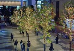 Akihabara Christmas lights