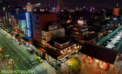 Asakusa Kaminorimon bird's-eye night view