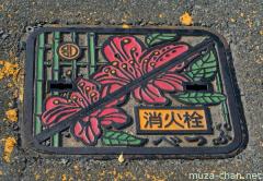 About Japan from.... manhole covers, Omurasaki from Beppu