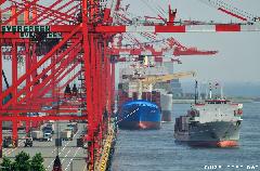 Giant Cranes at Tokyo Aomi Terminal