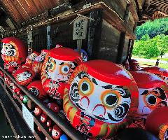 Takasaki Daruma Dolls