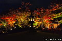Maple trees of Eikando
