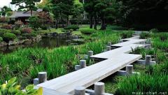 Yatsuhashi bridge in the Fujita Memorial Garden