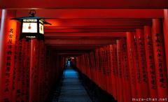 Night walk through thousands of gates