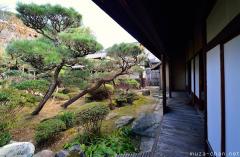 Samurai residence garden