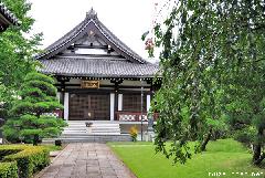 Sightseeing Tokyo, Genku-ji Temple