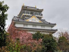 Gifu Castle