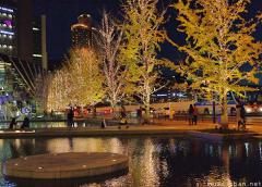 Christmas lights at Grand Front Osaka