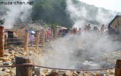 Owakudani hot pond