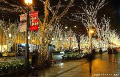 Omotesando Winter Illumination