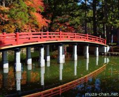 Mount Koya Hasu-ike lotus pond, and its old legend