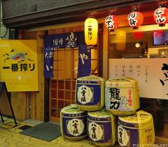 Kirin, (not only a beer, but) a Japanese mythological creature