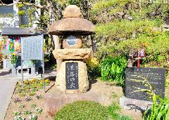 Hiroshima Day, 66 years - the Flame of the Atomic Bomb