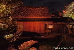 Thatched roofs in Japan