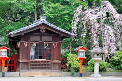 Shinto traditions, the Sacred Horse