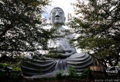 Abandoned Great Buddha statue