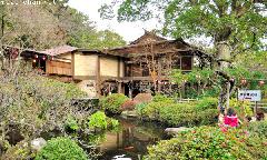 Japanese Garden in Winter, Hotoku Ninomiya