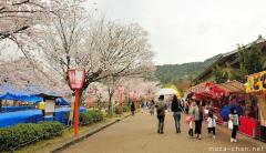 Hanami