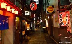 Hozenji Yokocho
