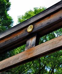 Imperial Crest on Meiji Jingu Torii