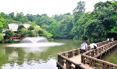 Inokashira Pond