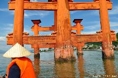 Sugegasa, the Japanese hat