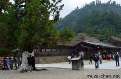 Izumo