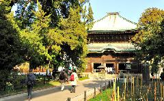 Scenic Spot, Priest Rankei's Juniper trees