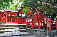 Japanese stories, Nanairo-no-yadorigi, Kasuga Taisha's magical tree
