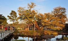 Simply beautiful Japanese scenes, Kenroku-en Garden sunset
