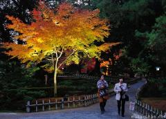 Kenroku-en night landscape
