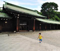 Simply beautiful in Meiji Jingu