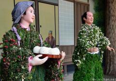 Japanese dolls from living chrysanthemums