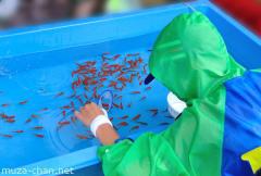 Kingyo Sukui, Goldfish scooping