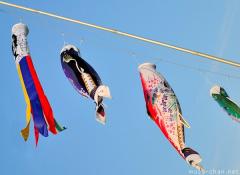 Boy's Day Koinobori