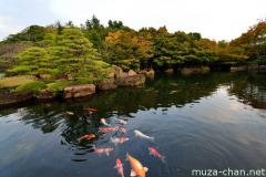 Koi at Koko-en garden, Himeji